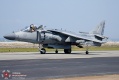 306-Harrier_5706.jpg