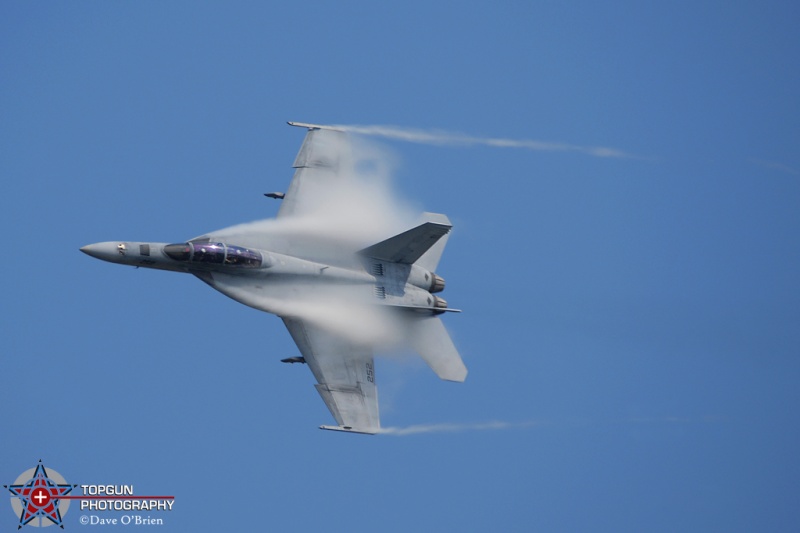 F/A-18F Super Hornet Demo
