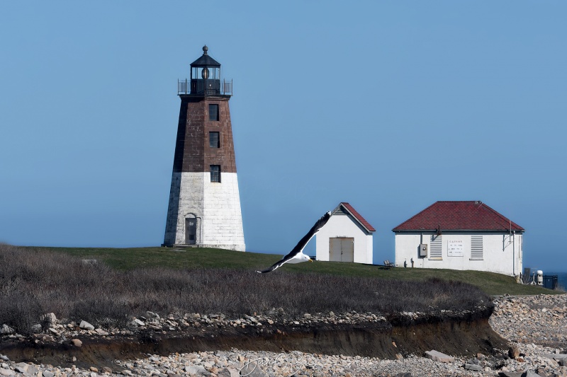 Point Judith Lighthouse
Narragansett, RI
4/8/22
Keywords: Rhode Island, Lighthouses