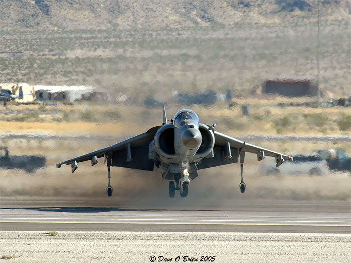 Harrier_08.jpg