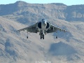 Harrier_06.jpg