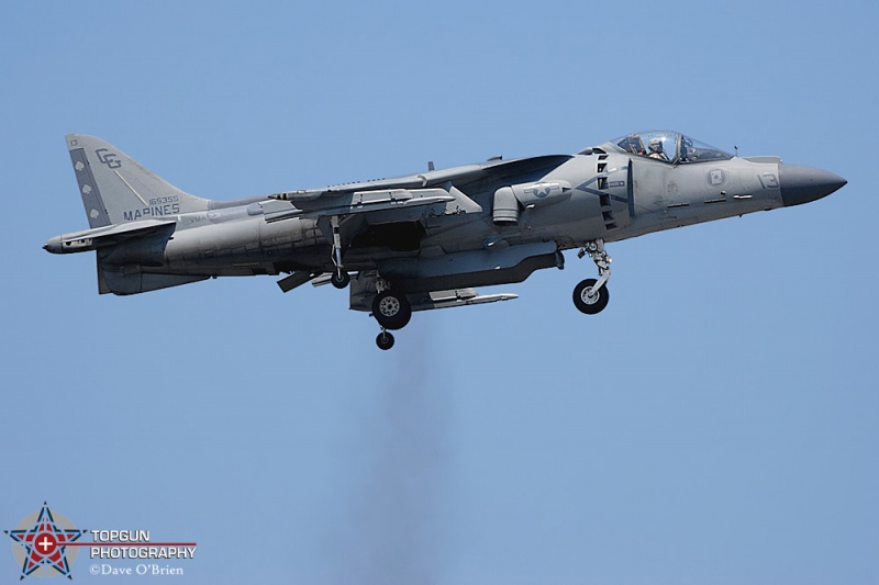 305-Harrier_5697.jpg