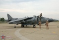300-Harrier_4827.jpg