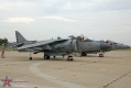 301-Harrier_4837.jpg