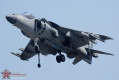 302-Harrier_5361.jpg