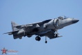 303-Harrier_5690.jpg