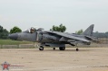 307-Harrier_4864.jpg