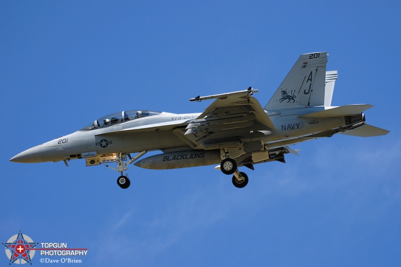 LION53
F/A-18F / 166674	
VFA-213 Blacklions / NAS Oceana
5/29/08
Keywords: Military Aviation, KNTU, NAS Oceana, US Navy, FA-18F Super Hornet