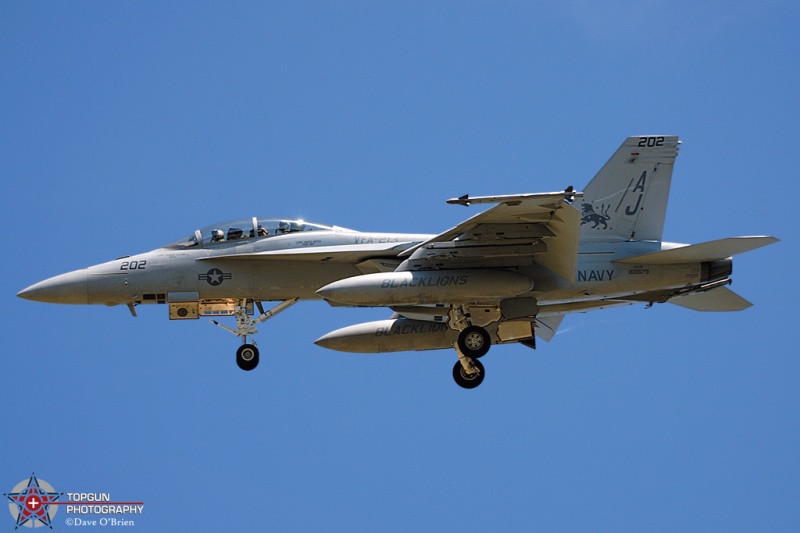 LION55
F/A-18F / 166679	
VFA-213 Blacklions / NAS Oceana
5/28/08
Keywords: Military Aviation, KNTU, NAS Oceana, US Navy, FA-18F Super Hornet
