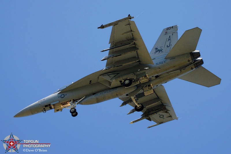 LION52
F/A-18F / 166682	
VFA-213 Blacklions / NAS Oceana
5/29/08
Keywords: Military Aviation, KNTU, NAS Oceana, US Navy, FA-18F Super Hornet