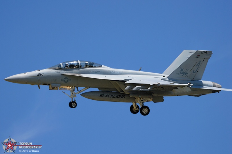 LION51
F/A-18F / 166640	
VFA-213 Blacklions / NAS Oceana
5/29/08
Keywords: Military Aviation, KNTU, NAS Oceana, US Navy, FA-18F Super Hornet
