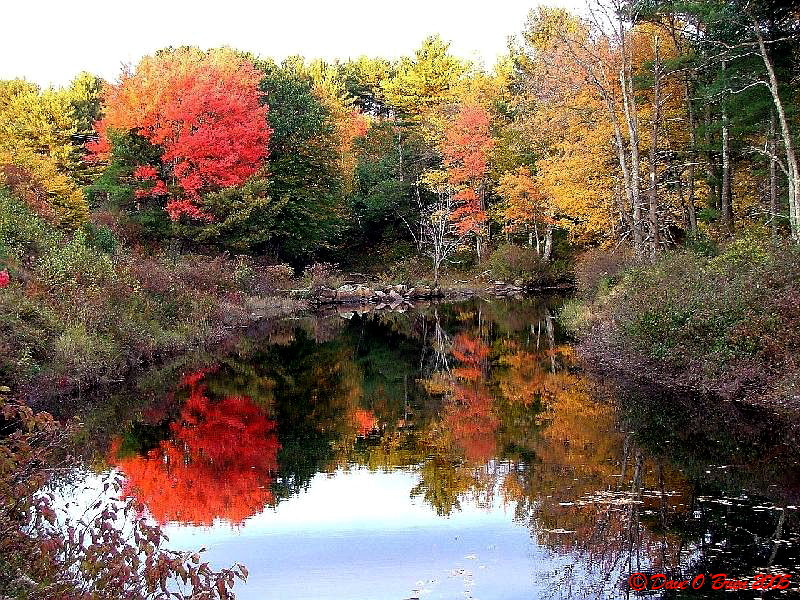 Isinglass River, Rochester NH
