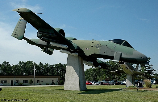 A-10 Gate Guard
