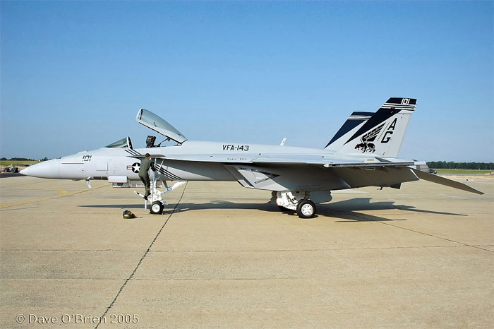 Brand new Super Hornet being delivered to NAS Oceana 
DOG99	
F/A-18E / 166609	
VFA-143 Pukin Dogs / NAS Oceana
7/16/05
