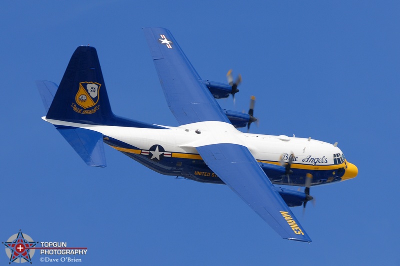 Fat Albert
