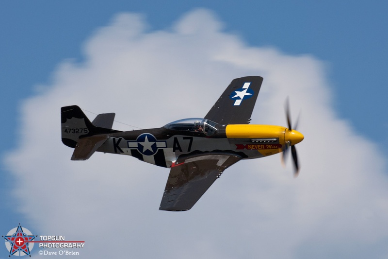 P-51 Mustang "Never Miss"
