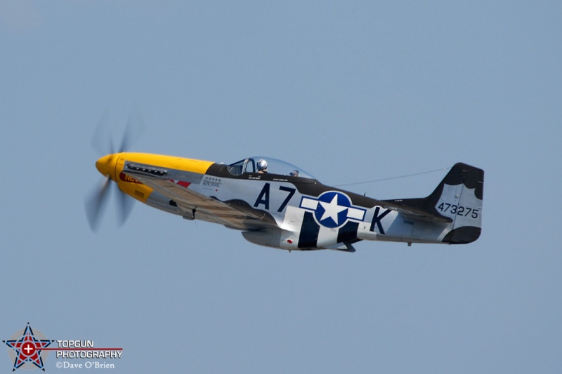 P-51 Mustang "Never Miss"
