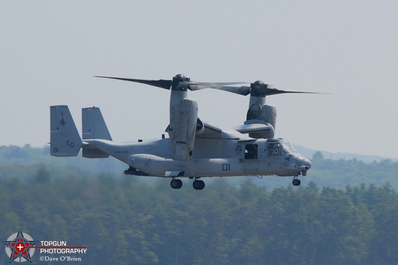 Osprey Demo
