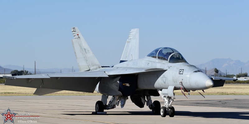 F/A-18F Demo bird
