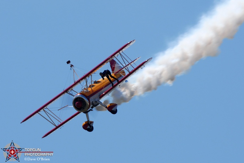 Jane Wicker Wing Walker
