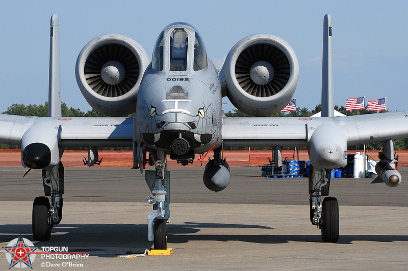 A-10 Warthogs Static
