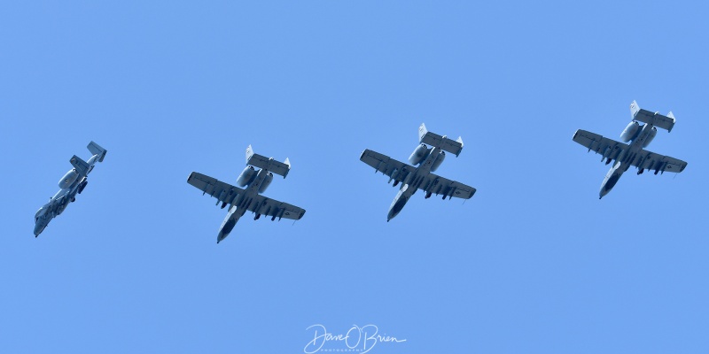 RAVEN flight in the overhead to land RW34
175th FW/104FS - Warfield ANGB
8/15/21
Keywords: Military Aviation, PSM, Pease, Portsmouth Airport, A-10C, MD ANG, Warthog, 104th FS