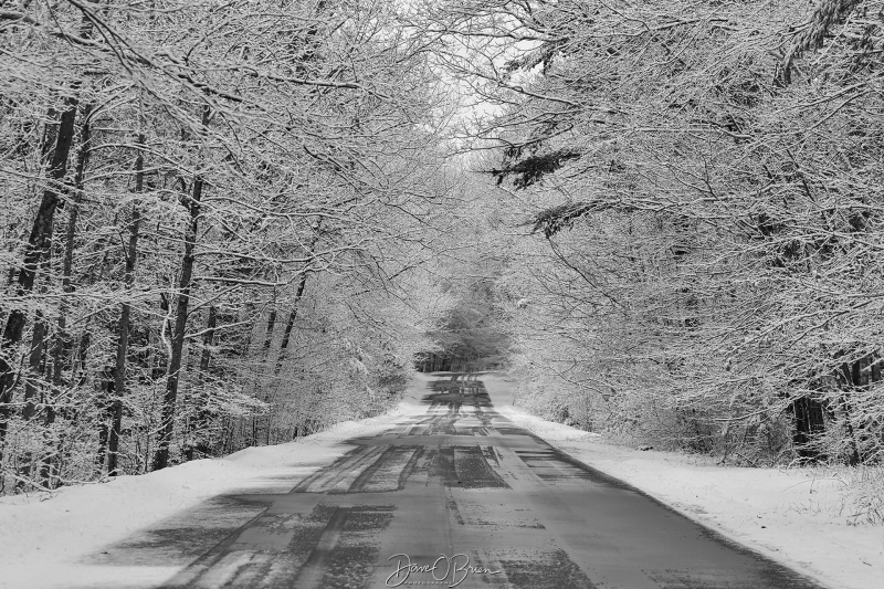 Fresh coat of snow blankets the coast
Portsmouth, NH
3/14/26
