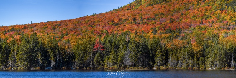 Foliage season at Baxter State Park
Colors are popping
10/2/22
Keywords: Baxterstatepark foliage fall maine