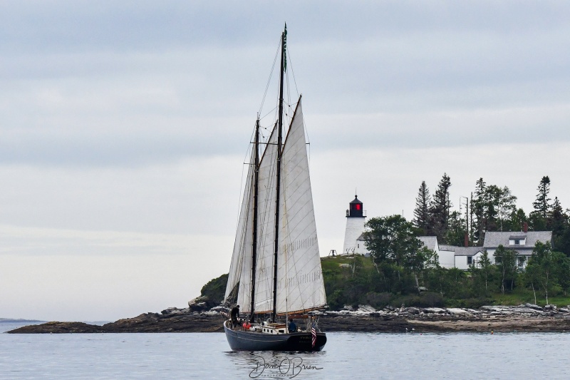 Schooner heading out for sunset cruise
Schooner heads out towards Burnt Island Lighthouse in Boothbay Harbor ME
7/4/23
Keywords: boothbay harbor, schooner, lighthouse, maine