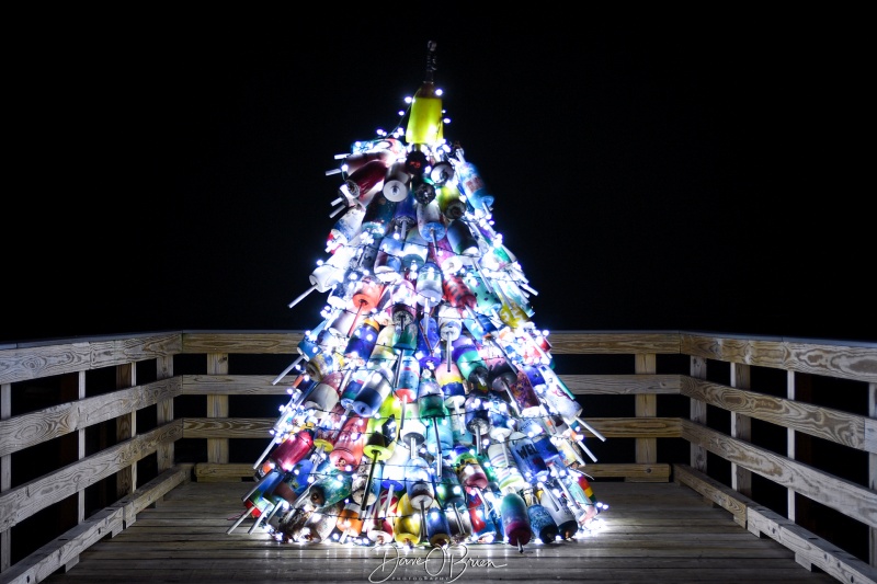 Lobster Bouy Christmas Tree 
Wells Harbor
Keywords: LobsterBouy ChristmasTree Wellsharbormaine maine