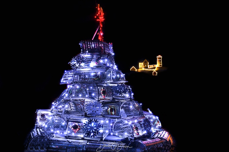 Lobster trab Christmas tree
Nubble Light in the back ground
Keywords: Lobstertraps lighthouse nubblelight maine