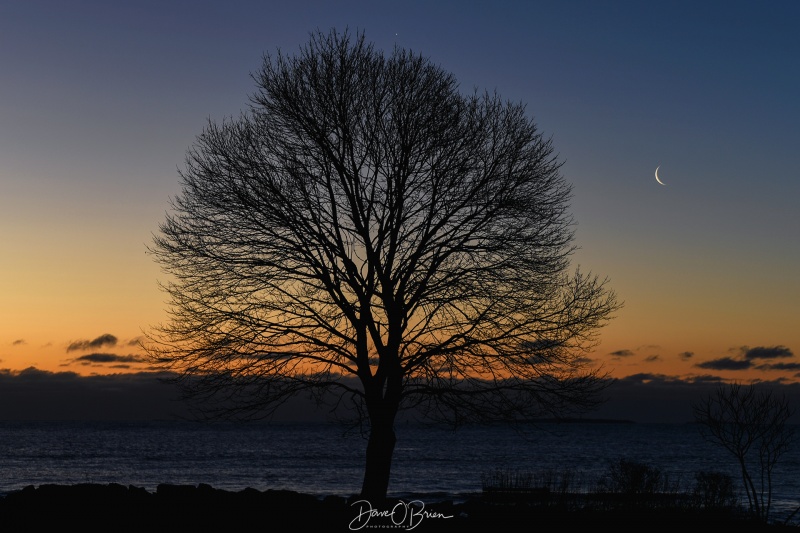 Moons hanging on before sunrise
Back at New Castle Commons
2/7/24
Keywords: Sunrises, New England, New Castle Commons, New Castle NH,