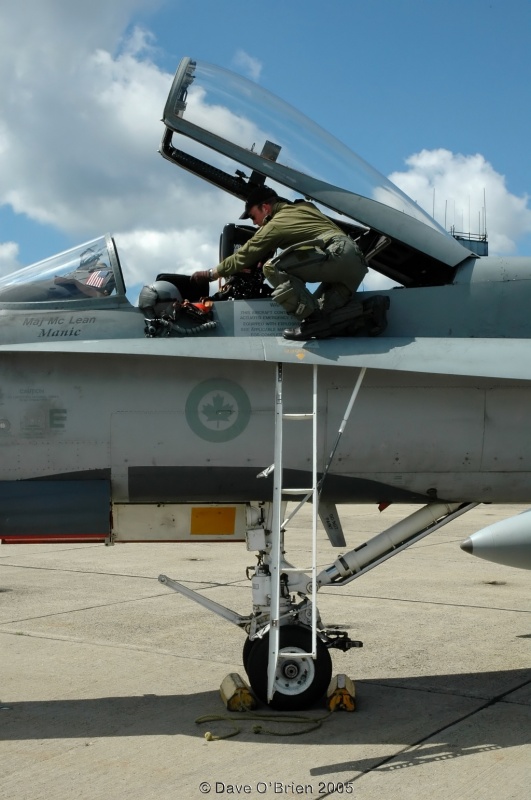 Friday CF-18 pilot arriving
