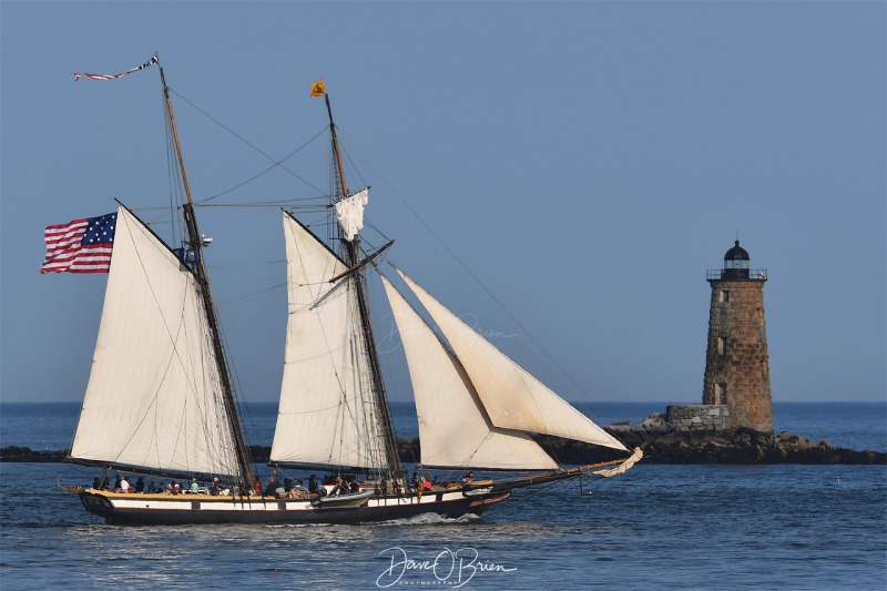 tail ship leaving Portsmouth to meet the USCG Eagle
New Castle Commons
8/1/19
