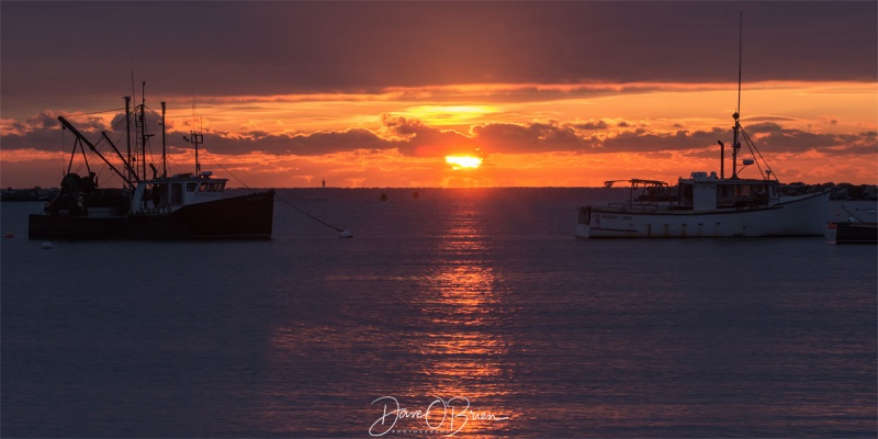 Sunrise at Rye Harbor
1/16/19
