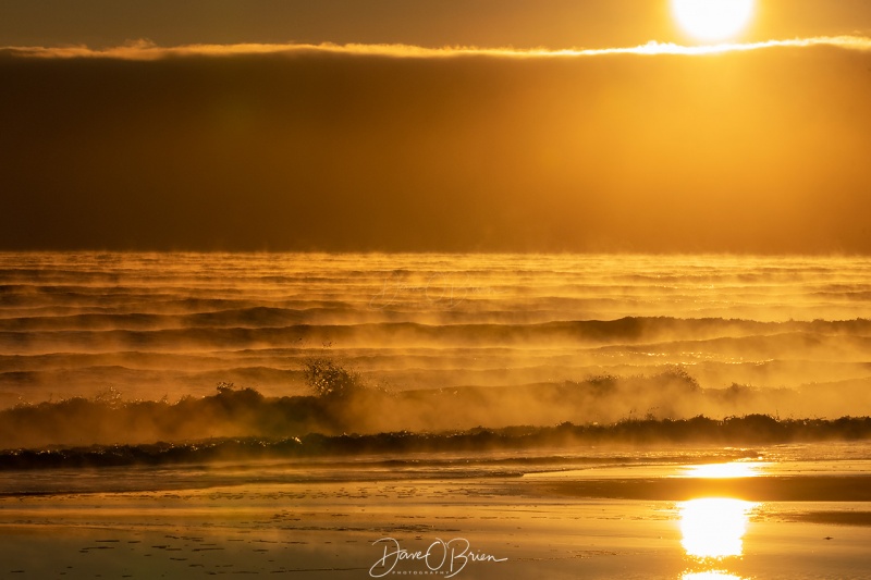 Bitter cold morning looking for sea smoke
Plum Island, MA
12/19/2020
