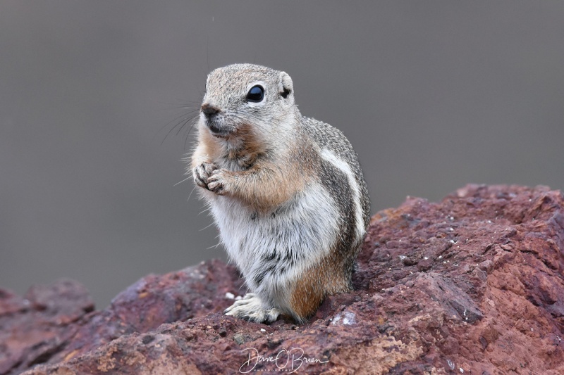 posing nicely at the Hoover Dam 3/10/18
