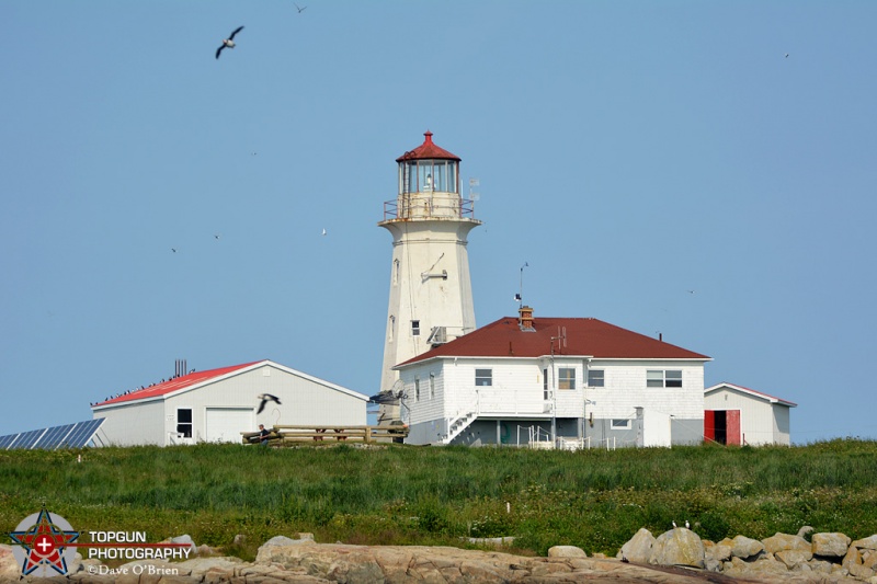 Machias Seal Island, Cutler, ME
