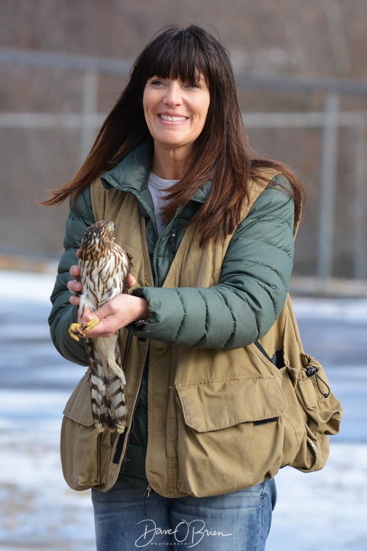 Jane Kelly get set to release a rehabilitated Hawk 2/3/18 
