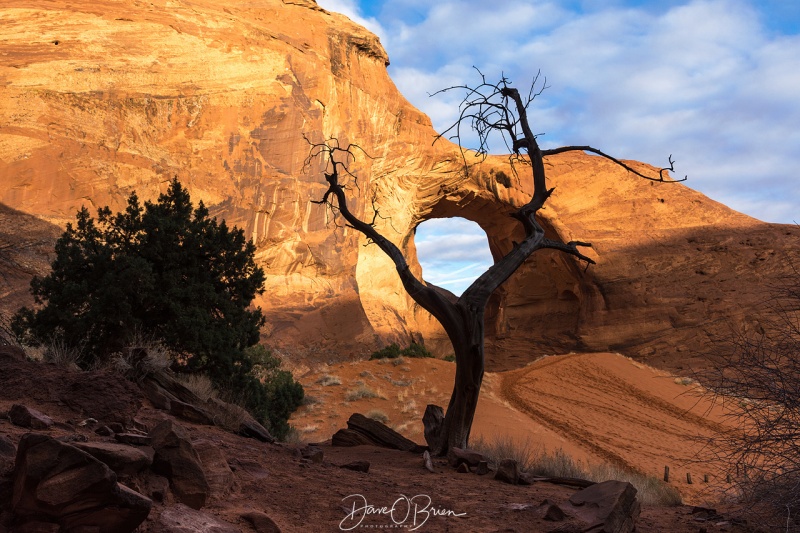 Took a sunrise tour through Monument Valley 3/12/18
