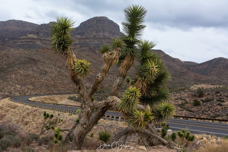 Heading to the Grand Canyon 3/10/18
