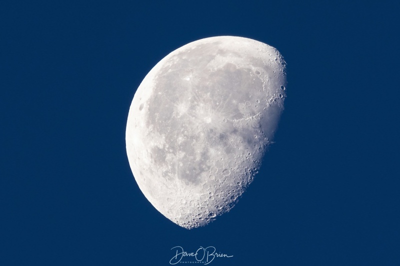 3/4's moon
New Castle, NH
8/21/19
