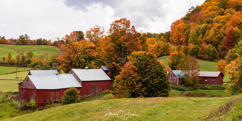 Jenne Farm
Reading, Vt
10/4/2020
