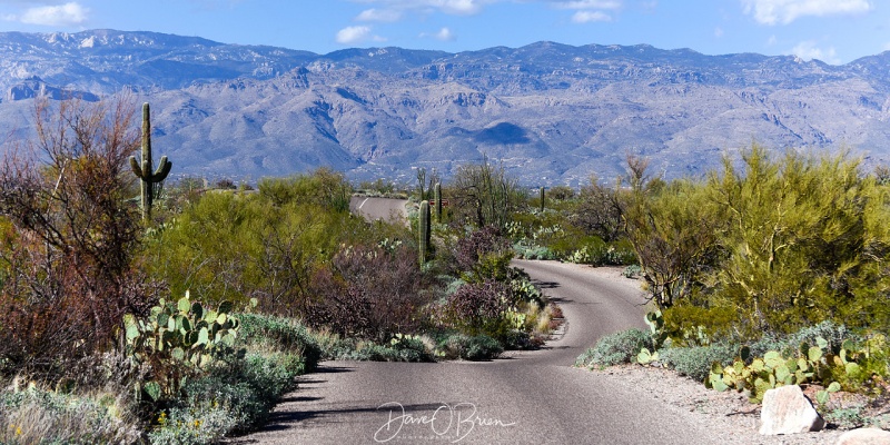 Driving through Sonora Desert East 3/17/18
