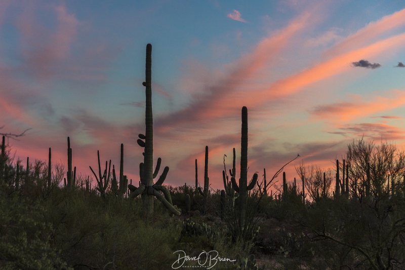 Sunset at Sonora Desert West 3/17/18
