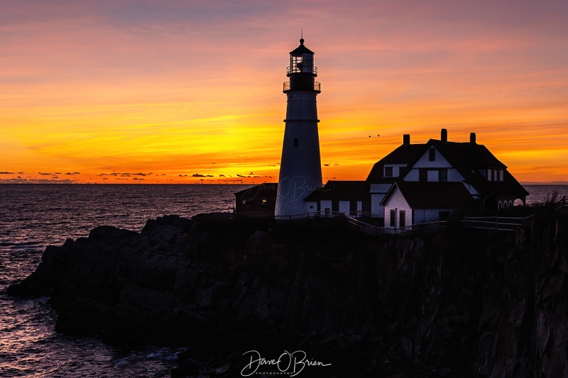 Portland Head Light sunrise
11/22/2020
