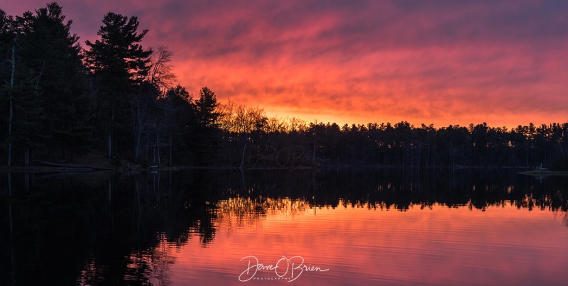 Sunrise Blowing up
Willand Pond, Dover NH
5/1/19
