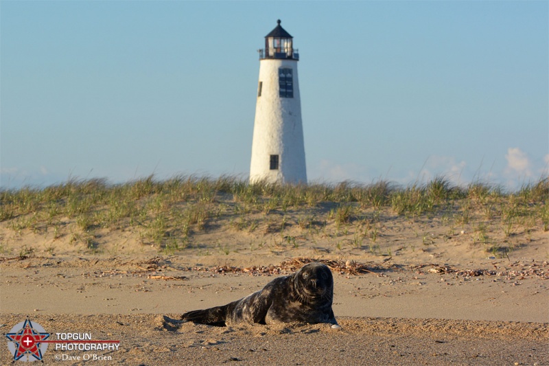 Great Point Light, Nantucket MA 5-8-16
