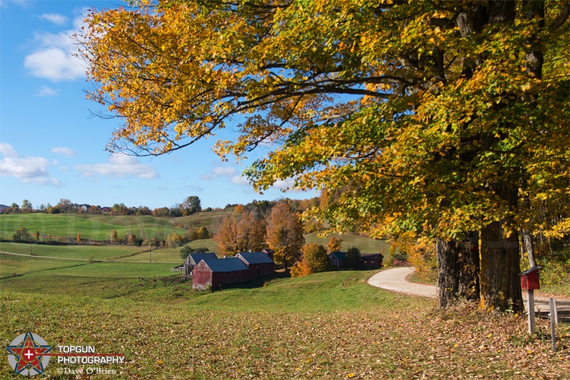 Jenne's Farm, Woodstock, VT
