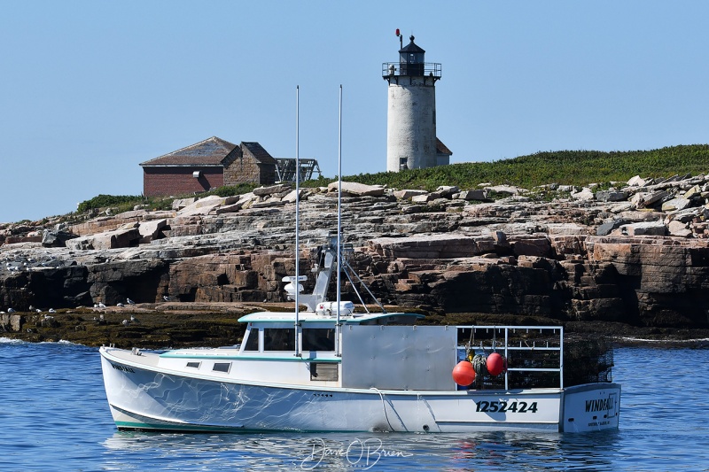 Great Duck Island Lighthouse
Great Duck Island, Maine
9/6/2020

